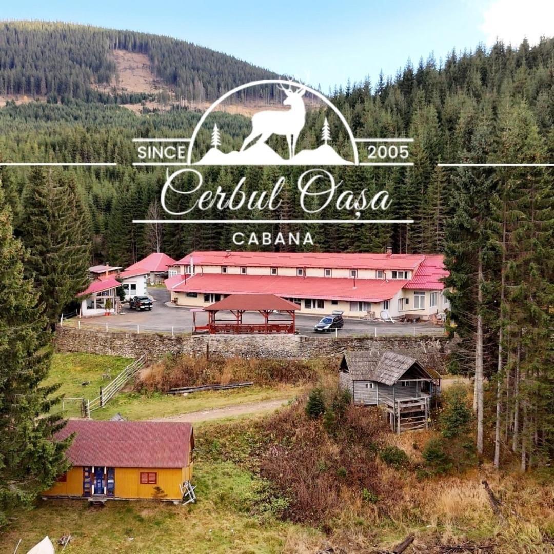 Cabana Cerbul-Oasa-Transalpina Ciban Exterior foto