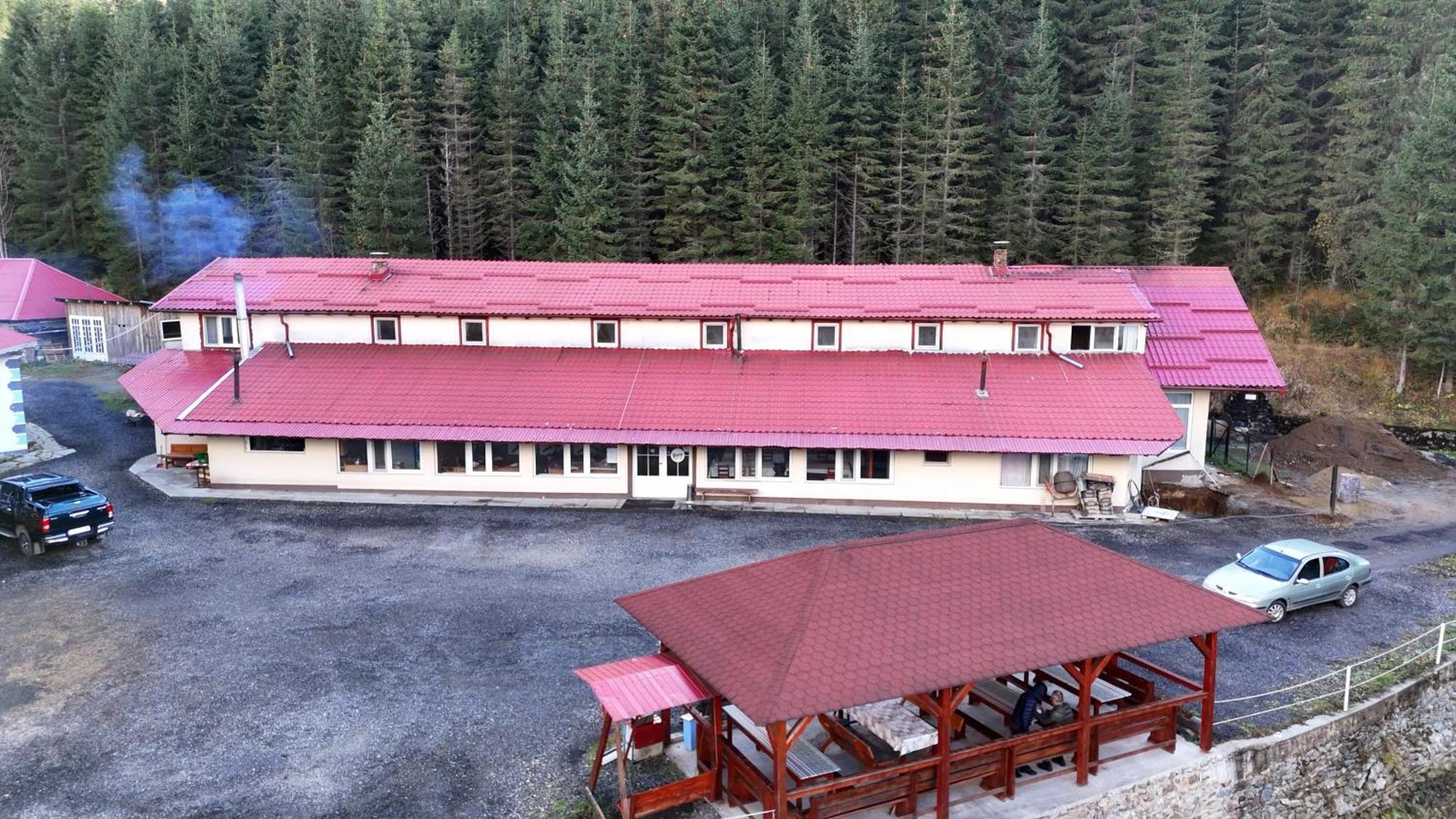 Cabana Cerbul-Oasa-Transalpina Ciban Exterior foto
