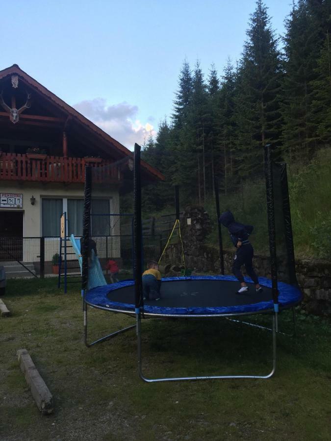 Cabana Cerbul-Oasa-Transalpina Ciban Exterior foto